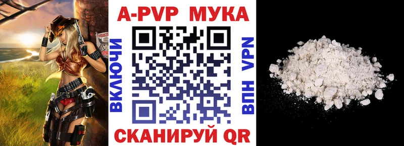 купить  сайты  Канск  A PVP крисы CK 