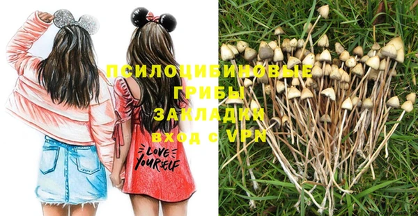 спиды Волоколамск