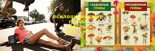 спиды Волоколамск